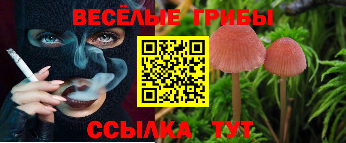 Галлюциногенные грибы MAGIC MUSHROOMS Осинники
