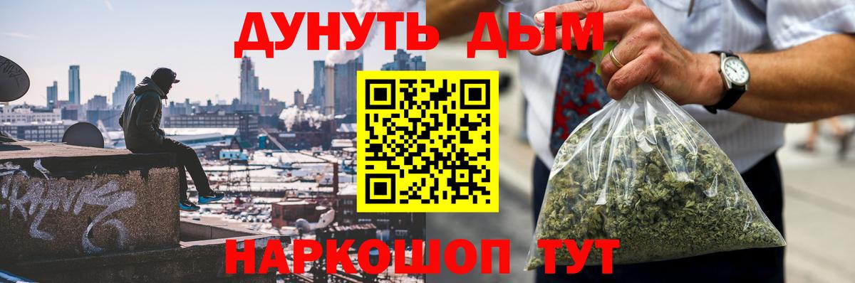 Конопля сатива Осинники